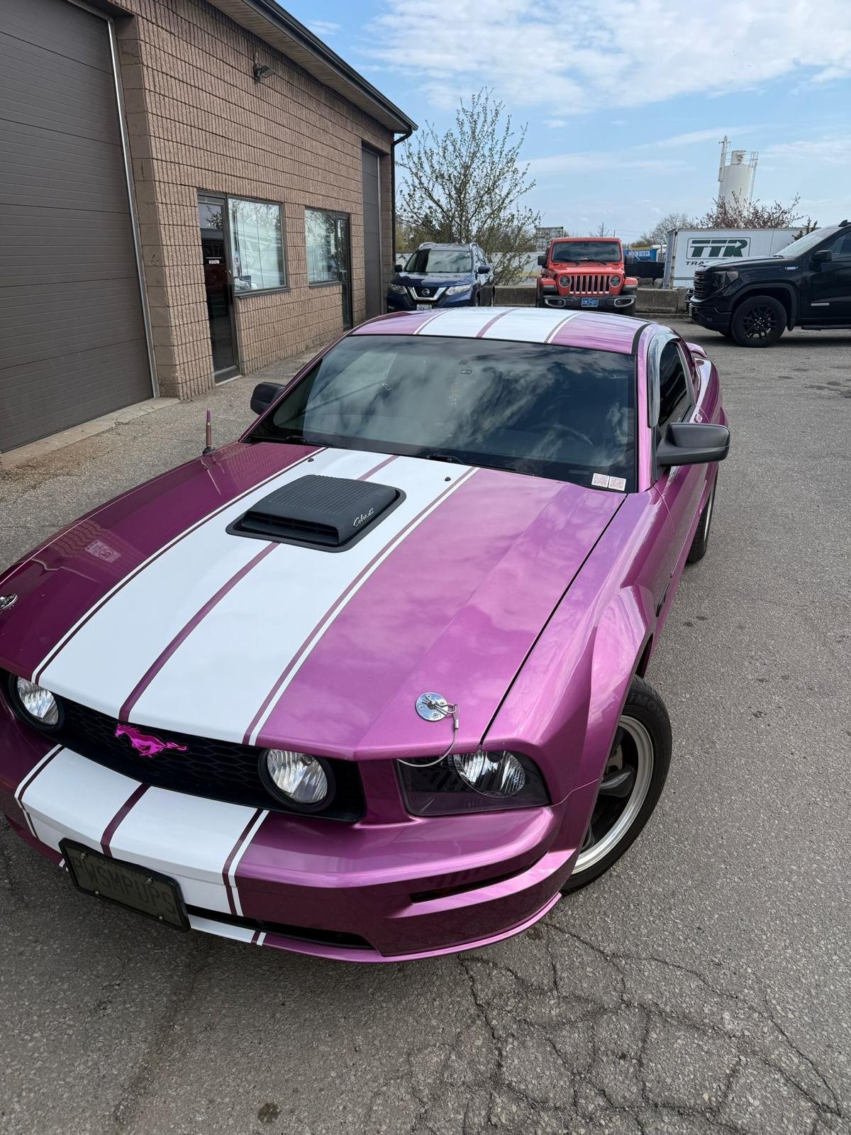 Paint Protection Film