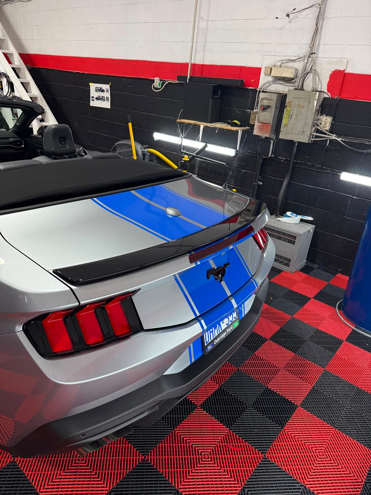 Rear Glass
